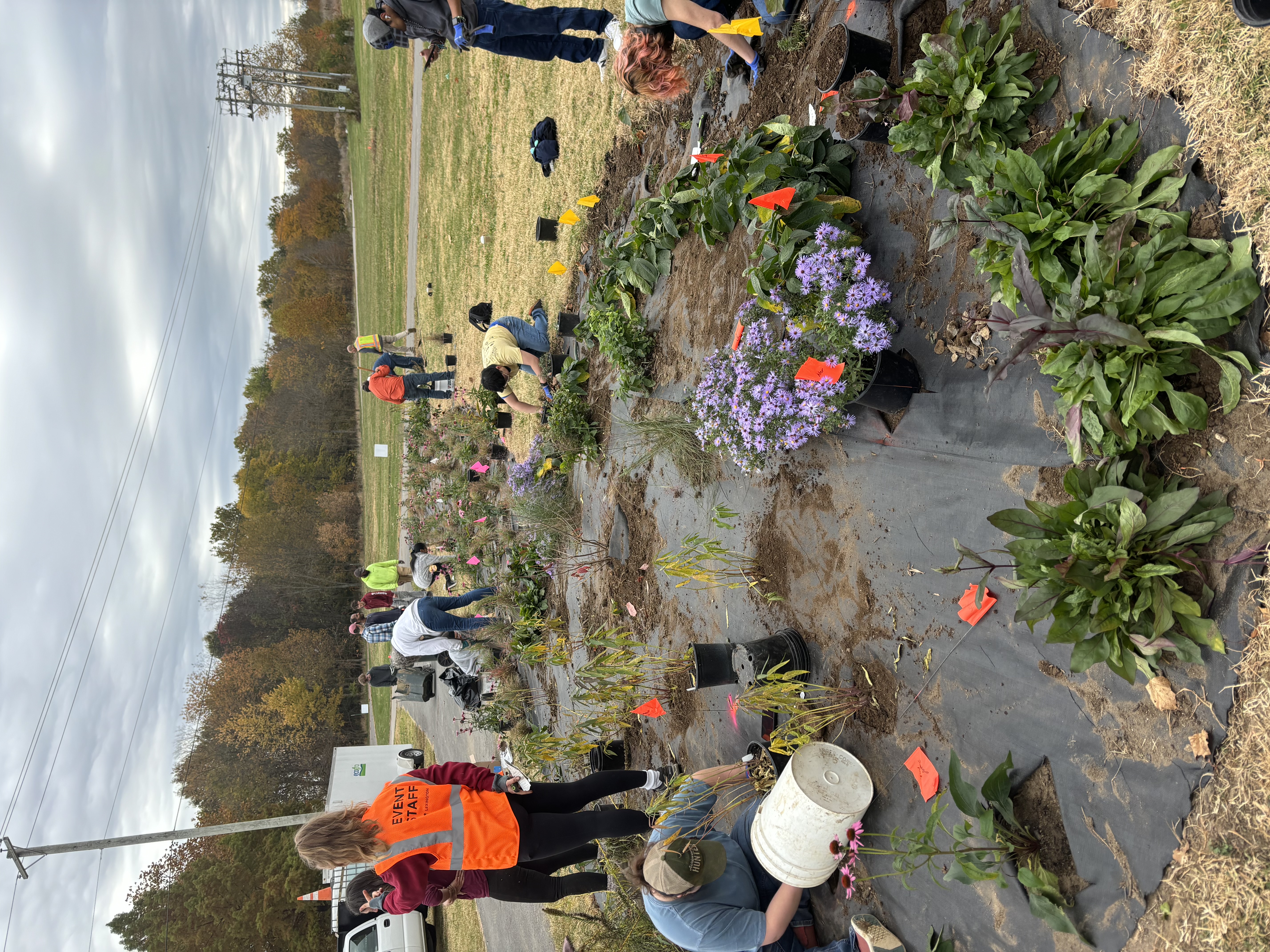 planting party