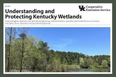 Understanding & Protecting KY Wetlands publication