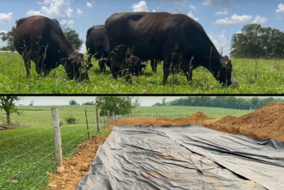 feeding pad video